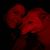 Nicole M White's profile image
