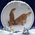 Kristin Shamel-Arsenault's profile image
