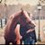 Rachel Livingston Greathouse's profile image
