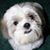 Kristen Kammer-Hattox's profile image