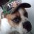 Michael Bell's profile image
