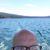 Matthew Jorgensen's profile image
