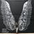 Griffin Ray's profile image