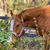 Kathy Liggett Carter's profile image
