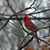 Loretta Wieczorek's profile image
