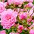 Renae Boreen Swanson's profile image