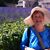 Bev Taylor's profile image