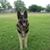 Holly Lopez's profile image