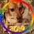 Lee Candiani - Walters's profile image