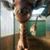 Dolores Lopes's profile image