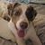Allison Selz-Griffin's profile image