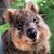 Craig Lloyd-Smith's profile image