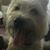 Mary Beth Bulger's profile image