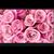 Gen Chantelle's profile image