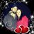 Tammy Lawton's profile image