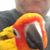 Ted Bergeron's profile image
