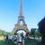 Sue Wilse-Worden's profile image