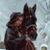 Donita Wills's profile image