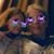 Paula Noble-Watson's profile image