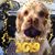 Susan Carlson's profile image