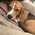 Branden Corbett's profile image
