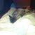 Sheryl Flite's profile image