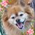 Karen Anspaugh Werner's profile image