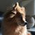 Trudy Geloran's profile image