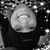 Gentry Greeno's profile image