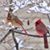 Kathy A Gajewski Readinger's profile image