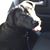 Michelle Grieco's profile image