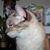 Tina Derck's profile image