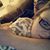 Maggie Smart's profile image