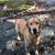 Patti J. Potter Campanella's profile image