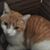 Teresa Russ Bouldin's profile image