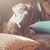 Shelly McCart McNeil's profile image