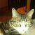 Hilda Aldana's profile image