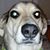 Jay Sweitzer's profile image