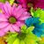 Tamara L Coburn's profile image