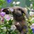 Cathie ML's profile image
