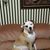 Dorene Garant Stefaniuk's profile image