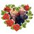 Greg Cook's profile image