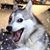 Brian Watson's profile image