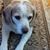 Judy Hammes's profile image