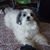 Penny Reid's profile image