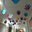 Sharon Colucci's profile image