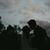 Dilianna Bustillos Vivas's profile image