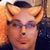 Vince Macri's profile image