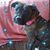 Sue Banks's profile image