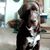 Jamie Jarrett Sheriff's profile image